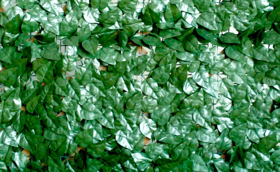 VERDELOOK Sempreverde® Point Siepe artificiale 1.5x20m foglia lauro decorazioni - Immagine 1 di 1