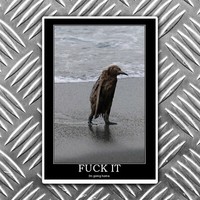 F**K IT I'M GOING HOME funny penguin sticker 125mm x 86mm ratlook vw 