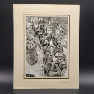 Original Kolb Bros Photo Grand Canyon ARIZONA Riding Mules Bright Angel Trail - Picture 1 of 2