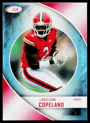 2023 SAGE HIT Red - Jacob Copeland #31 - Florida Gators - Image 1 of 2