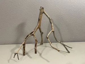 Manzanita Wood, Burnt Driftwood, Reptile Tank Decor, aquascape, Terrarium - Picture 1 of 6