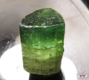 18,61 CT. MEHRFARBIGER TURMALIN - Bild 1 von 5