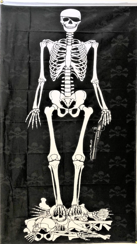 3x5 Pirate Skeleton FLAG 5' x 3' Skull Skeleton Bones Pirate Halloween 100D - Image 1 of 2