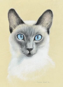 Signed Deidre Hunt Pastel on Paper of A Siamese Cat 'Boy Boy' Australian Artist - Picture 1 of 9