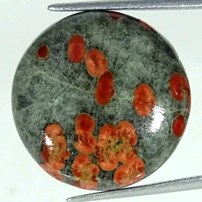 15.40Cts Natural Mexican Peanut Obsidian Round Cabochon Loose Gemstone 20x5mm Foto 1 de 4