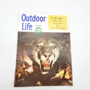 Vintage Outdoor Life February 1950 Fishing Hunting Camping Outdoors Animals - Picture 1 of 22