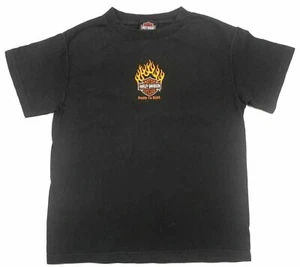 HARLEY DAVIDSON vintage t shirt MOTORCYCLES Danbury Connecticut Born To Ride S - Picture 1 of 8