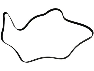 Cinturón multi costilla para Jeep Scrambler 1981-1985 81584TP 1982 1983 1984 Foto 1 de 2