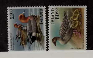 Island Sc 686-8 NH Ausgabe von 1990 - Vögel - Bild 1 von 1