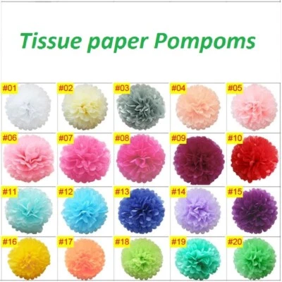 10 pcs Mixed Tissue Paper Pom Poms Pompoms Hanging Garland Wedding Party Decor - Image 1 of 4