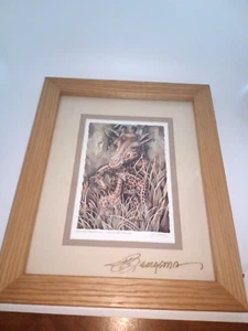 Mother Giraffe & her Calves Jody Bergsma Framed Signed Print 9 1/2" x 11 1/2" - Picture 1 of 4