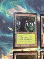 Forest (C) Dark Forest Eyes x1 mtg Beta Lp