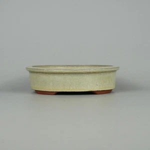 Maceta Bonsai Japonesa TOKONAME YOZAN Forma Ovalada W14.8cm H4cm Blanco Esmaltado - Imagen 1 de 24