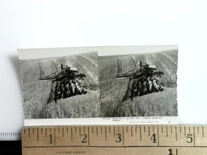 The Farm Harvesting Great West Stereoview Keystone View Co. 1930er - Bild 1 von 2