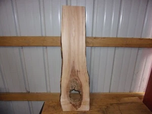 1 PC HARD MAPLE SLAB BOARD LUMBER 1/2" THICK 1767V WOOD LIVE EDGE KILN SPALTED - Picture 1 of 10