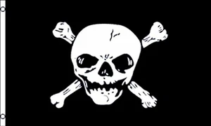Pirate Big Skull Head Polyester Flag 5'x3' - LAST FEW - Picture 1 of 3
