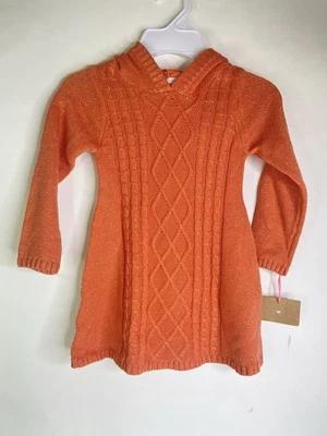 Vestido Suéter Young Hearts Tejido Con Capucha Brillante Manga Larga Niñas Pequeñas Talla 3T Foto 1 de 4