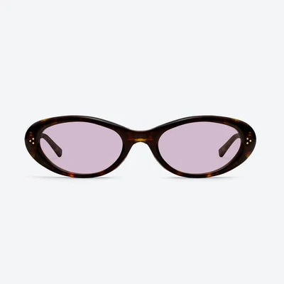 Óculos de sol Gentle Monster Lolang T1 rosa tartaruga autêntico novo em folha designer - Imagem 1 de 4