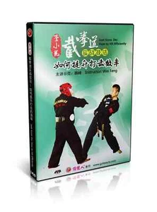 Chinese Kungfu Bruce Lee Jeet Kune Do Course Vol.12 - How to Hit Efficiently DVD - Picture 1 of 1