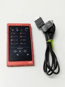 SONY Walkman 16GB NW-A45 Audio Player Detective Conan - Picture 1 of 8
