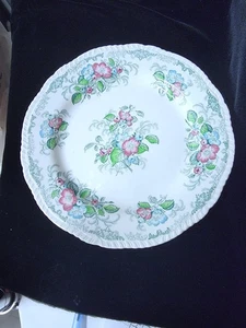 Piatto(i) Ridgways VERDE Apple Blossom 9,75 ottime condizioni - Foto 1 di 4