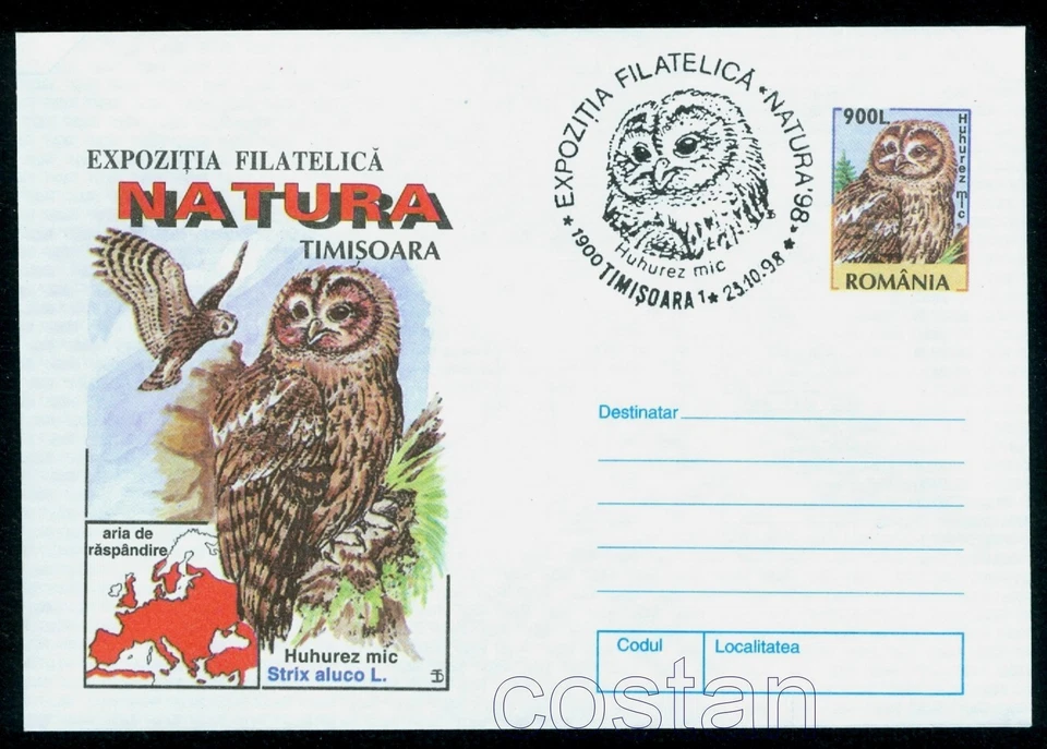 Búho marrón 1998, Strix aluco, Búho, Chouette, Civetta, Pájaros, Oiseaux, Rumania, cubierta de CD Foto 1 de 1