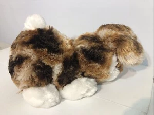 Dan Dee Sammler Wahl Hase Kaninchen Plüschtier Kuscheltier Schildkröte 17" - Bild 1 von 7