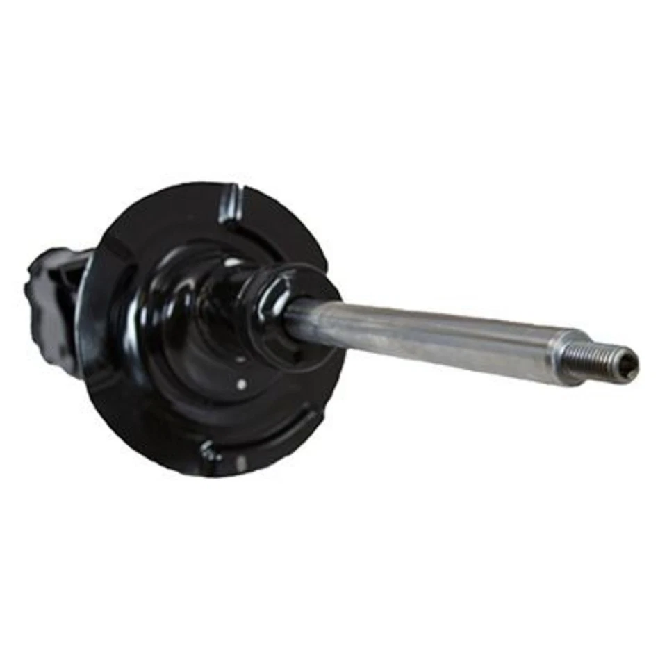 AST306 Motorcraft Shock Front Passenger Right Side Hand for Ford Escape Mariner — 第 1/1 张图片