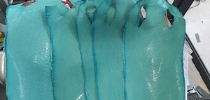 Cinturino Orologio Su Personalizzato Doppia Perla Turchese Stingray in Pelle Fatto a Mano - Foto 1 di 1