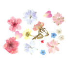  Women Facial Dry Flower Applique Stickers Decorative Personality Natural Flower