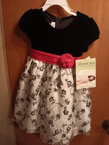 Bonnie Jean Child's Dress Size 3T - Picture 1 of 5