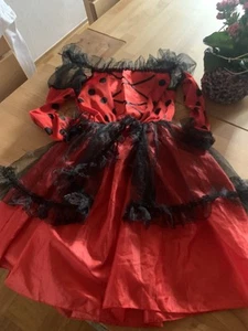 Ladybug - Marienkäfer Verkleidung Langarm Rot - Schwarz / Punkte Gr. M neuwertig - Bild 1 von 18
