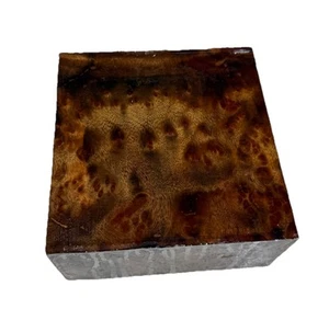 Cuenco de madera de alcanfor burl giratorio en blanco 5-7/8” x 6” x 3” (n76) secado al aire - Imagen 1 de 9