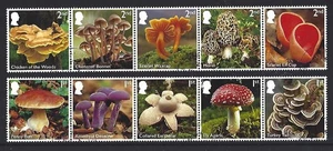GREAT BRITAIN 2025 MUSHROOMS SET OF 10 FINE USED - Picture 1 of 2