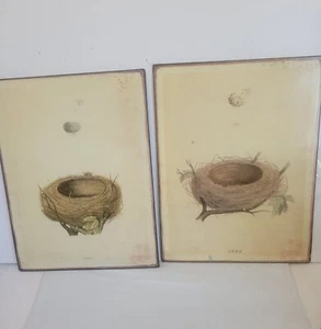 F O Morris Bird Nest Repro Hanging Picture Decor Tins 13.75x10.5 - Picture 1 of 5