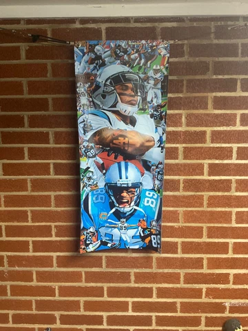 All Weather New! 32x14 Steve SMITH Vinyl POSTER Carolina Panthers Luke Kuechly Cover