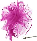 Dreshow Fascinators Hat Flower Mesh Ribbons Feathers On A Headband And A Clip Te