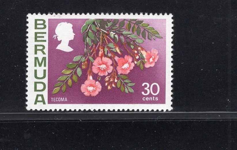 Bermuda 1976 30c Tecoma Flower Watermark Upright SG 306 Sc 267a MNH - Image 1 of 1