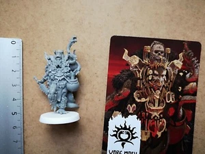 VORE NASH SHAMAN MINIATURE + CARD / BARBARIAN / HATE BOARD GAME CMON G158 - Bild 1 von 1