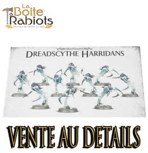 Warhammer age of Sigmar Nightaunt Dreadscythe Harridans Vente au detail Rabiot - Foto 1 di 14