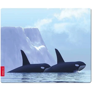 Speedlink tapis de souris en soie orque baleine tapis de souris motif animal-bébé plat 1,5 mm d'épaisseur - Photo 1/2