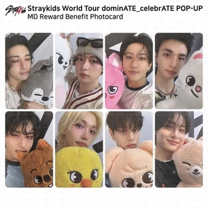 Stray Kids World Tour DominATE CelebrATE POP-UP MD Reward Benefit Photocard KPOP - Picture 1 of 17