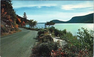 Sargent's Drive Northeast Harbor Mt. Desert Island Maine Postcard Unposted - Imagen 1 de 2