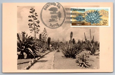 Maxi tarjeta #1944 Desert Plants Agave The Cactus Garden Foto 1 de 2