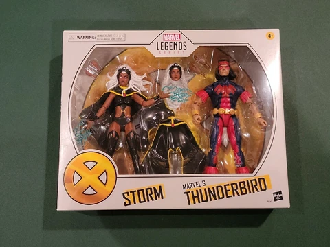 Marvel Legends X-Men: Storm + Thunderbird Target Deluxe Action Figures Cover
