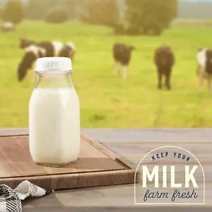 Kitchentoolz Jarras de Leche Cuadradas de Vidrio con Tapas 12 Oz - Contenedor de Leche Perfecto... - Imagen 1 de 7