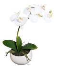 Orchidee artificielle 1 hampe en pot ceramique H 26 cm Blanc neige - couleur: B