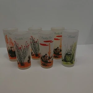 JUEGO DE 6 VASOS DE VIDRIO ESMERILADO ARIZONA CACTUS DE GAS Y PETRÓLEO FLAKELY AÑOS 50 - Imagen 1 de 7