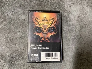 Triumph—Never Surrender…AFK14382 - Picture 1 of 3
