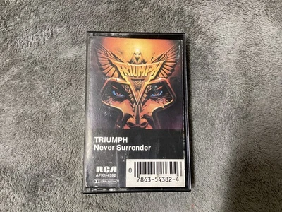 Triumph—Never Surrender…AFK14382 - Image 1 of 3